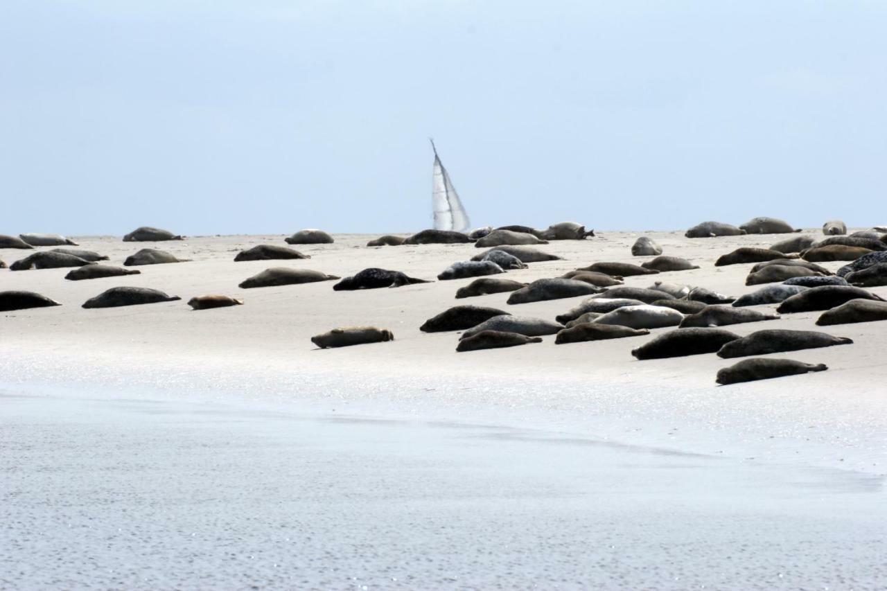 Borkumunterkunft - Woh3 - Im Herzen Der Insel Bagian luar foto